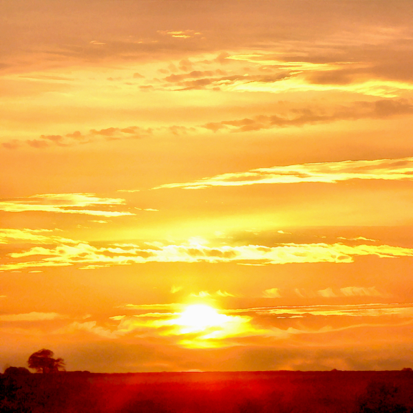 Lytes Cary Sunset